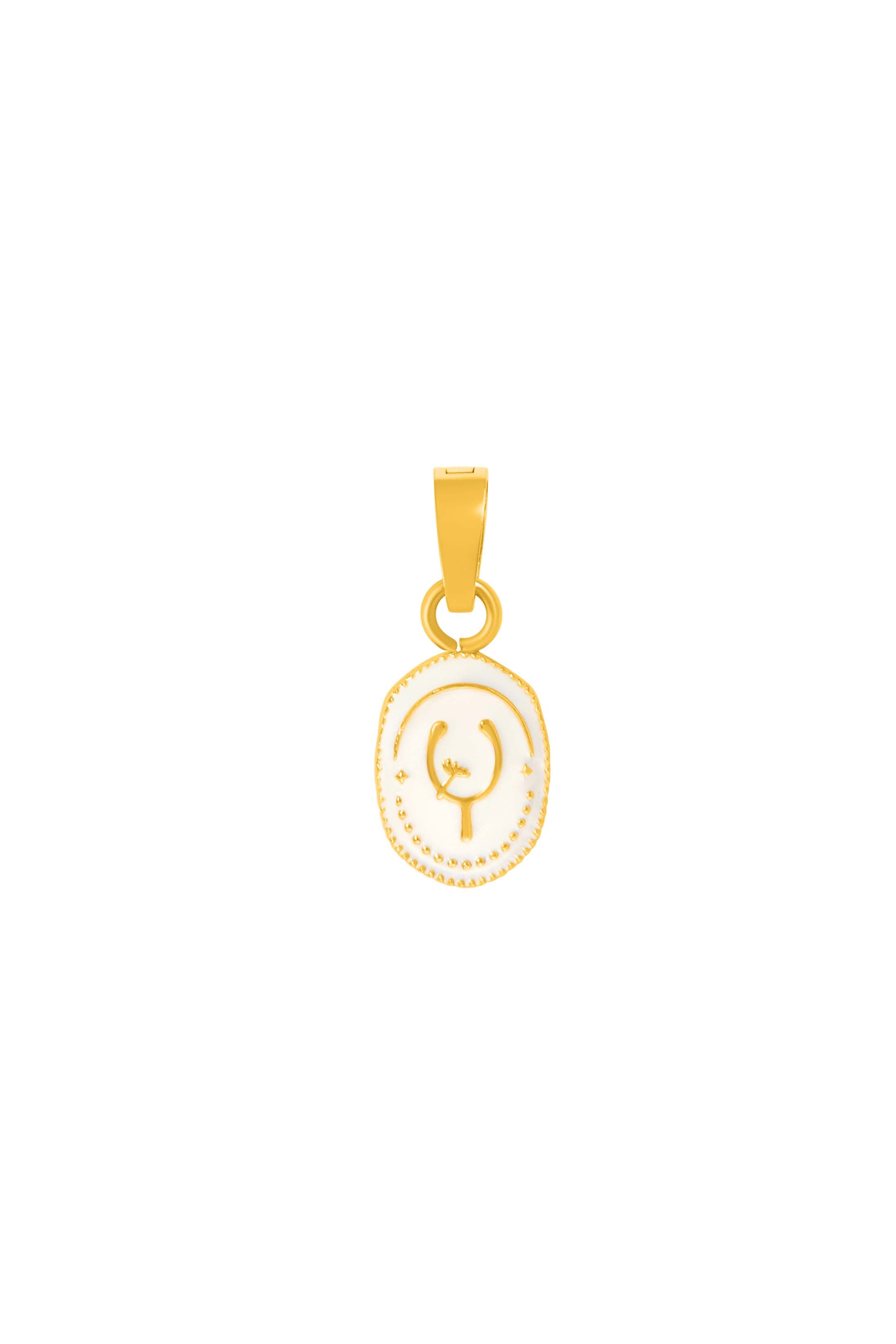Wishbone - Hope for Wishes Charm