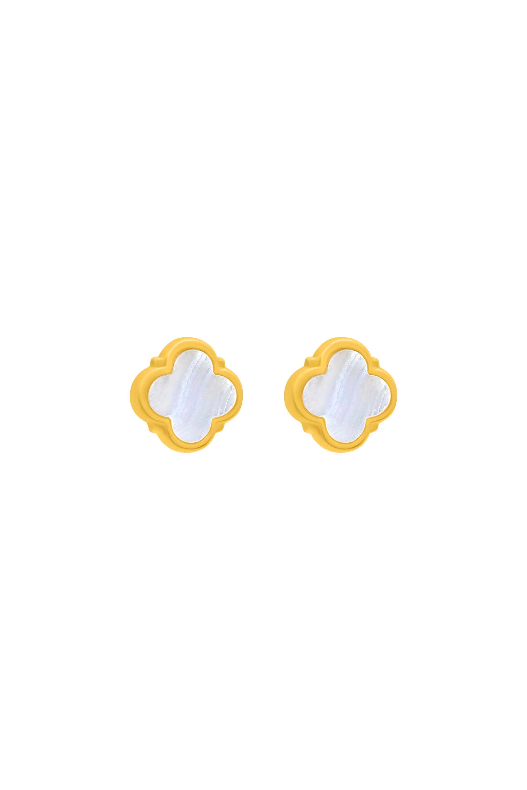Lace Agate Stone Stud Earring Set