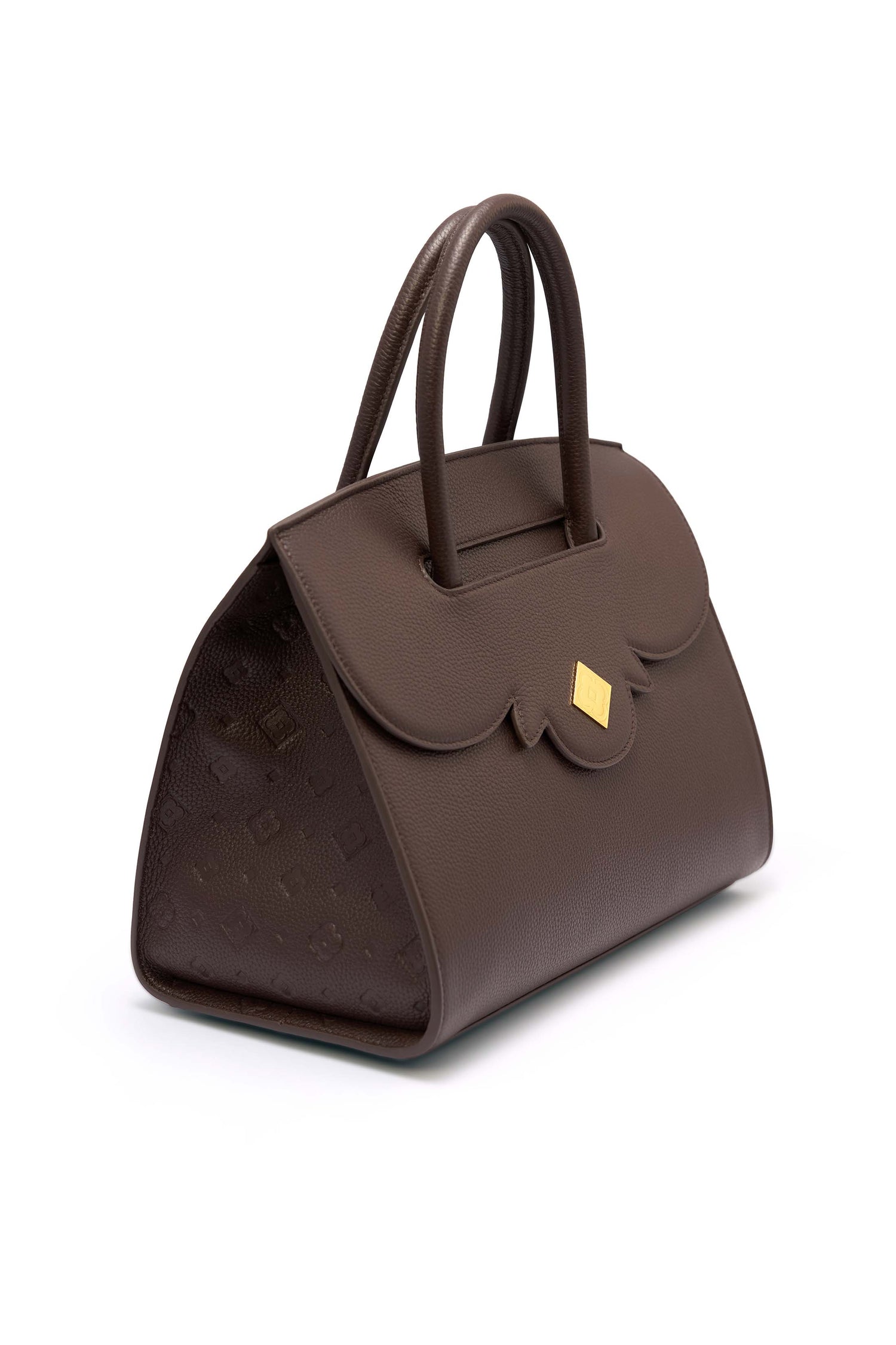 Beatrina Van Dyke Brown Bag