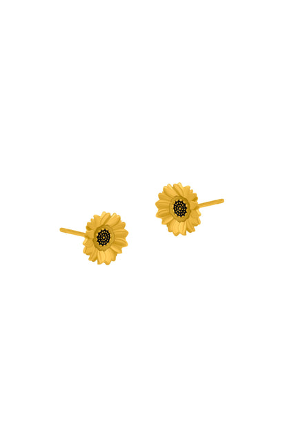 Little Seeds, Big Dreams Stud Earring Set