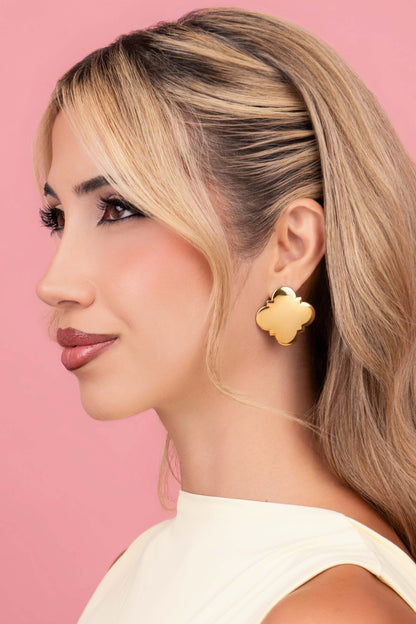 Carisma Icon Stud Earring Set