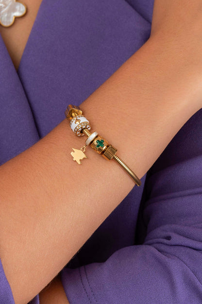 Carisma Graduation Token Charm Bracelet Gift Set