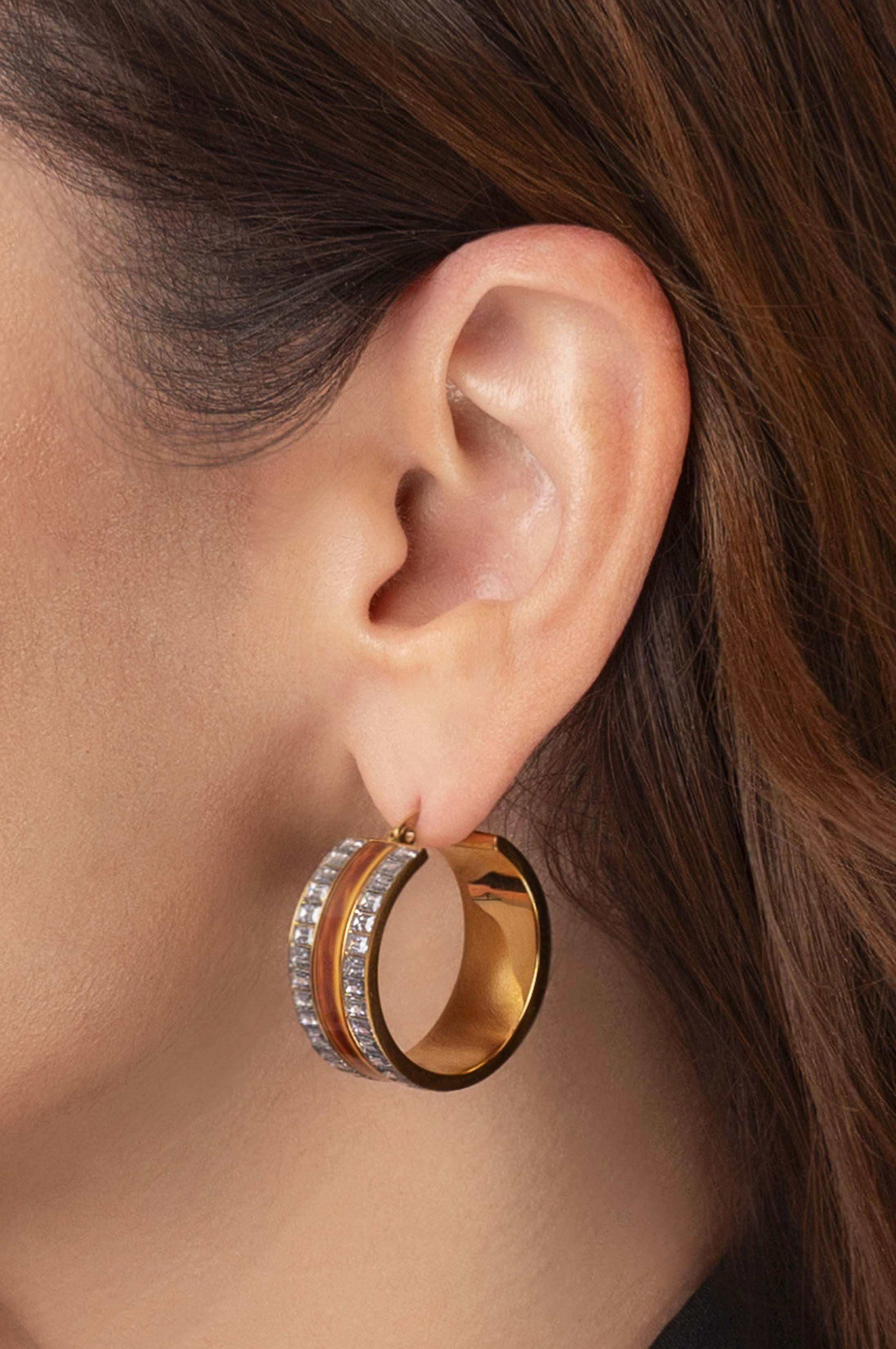 Faniello Tiger Eye Hoop Earring Set