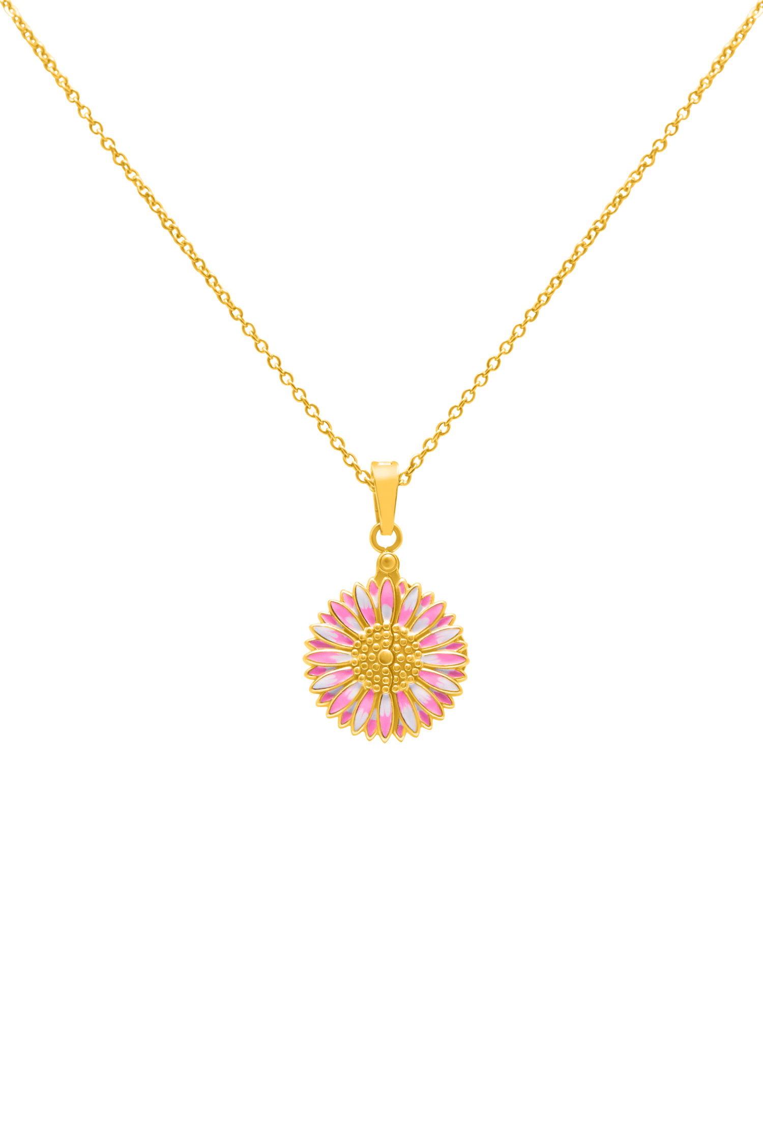 Gerbera Glow Teacher&