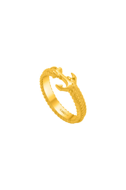 Azure Anchor Ring
