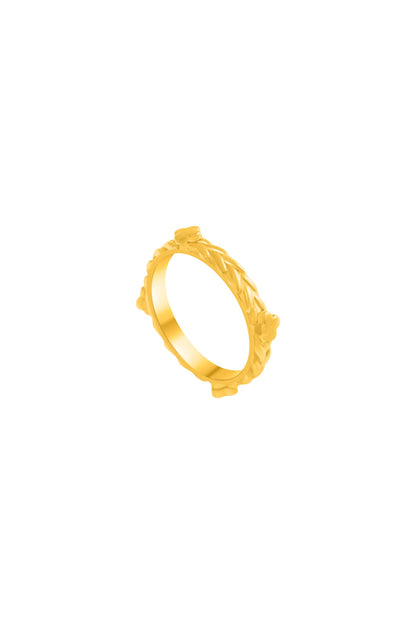 carisma-logo-ringmv2ag9ee-me1tjizv-k