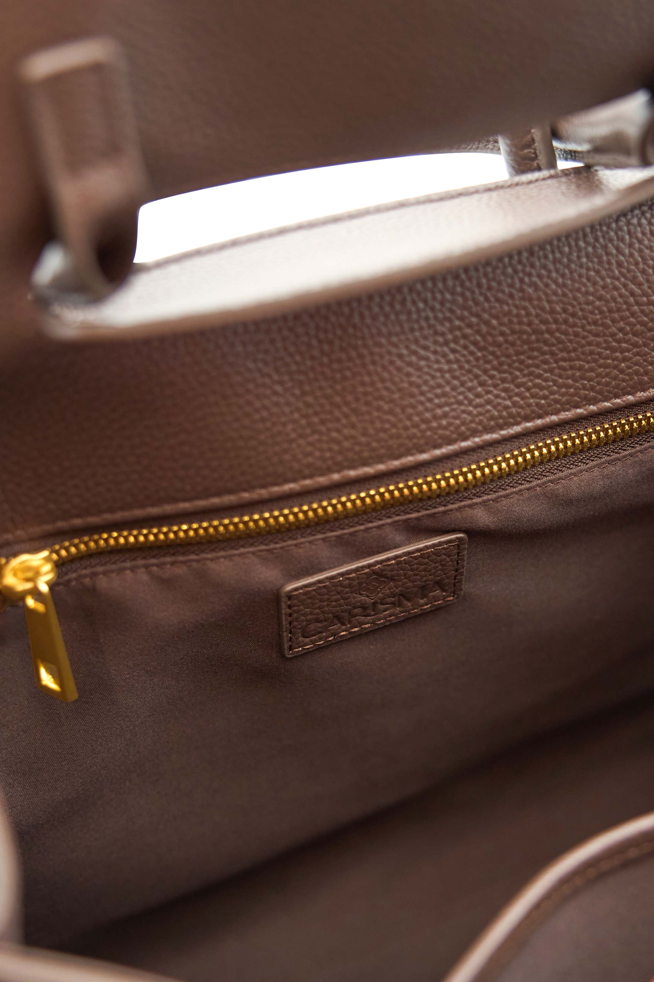 Beatrina Van Dyke Brown Bag