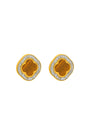 Faniello Tiger Eye Stud Earring Set