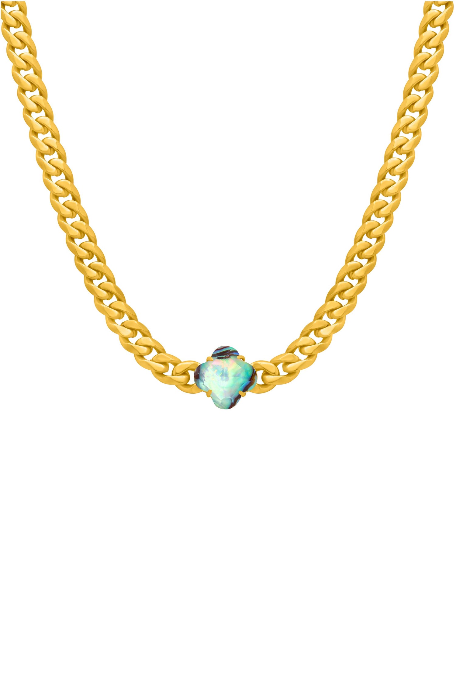 Stone Station Abalone Stone Curb Chain Necklace