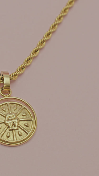 Synergy Pendant &amp; Solar Pendant Gift Set