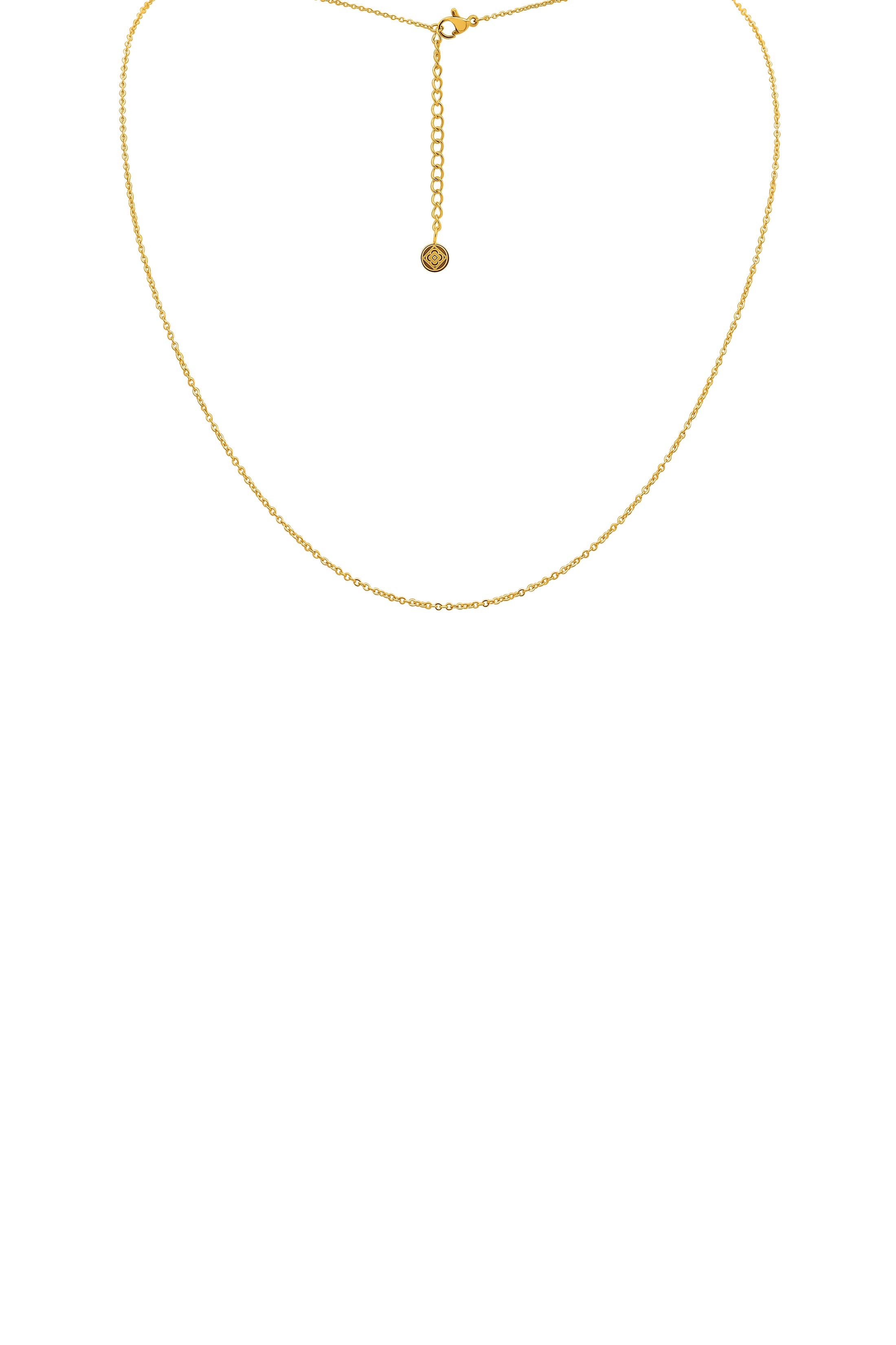 Petite Chain Necklace