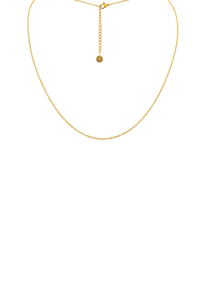 Petite Chain Necklace