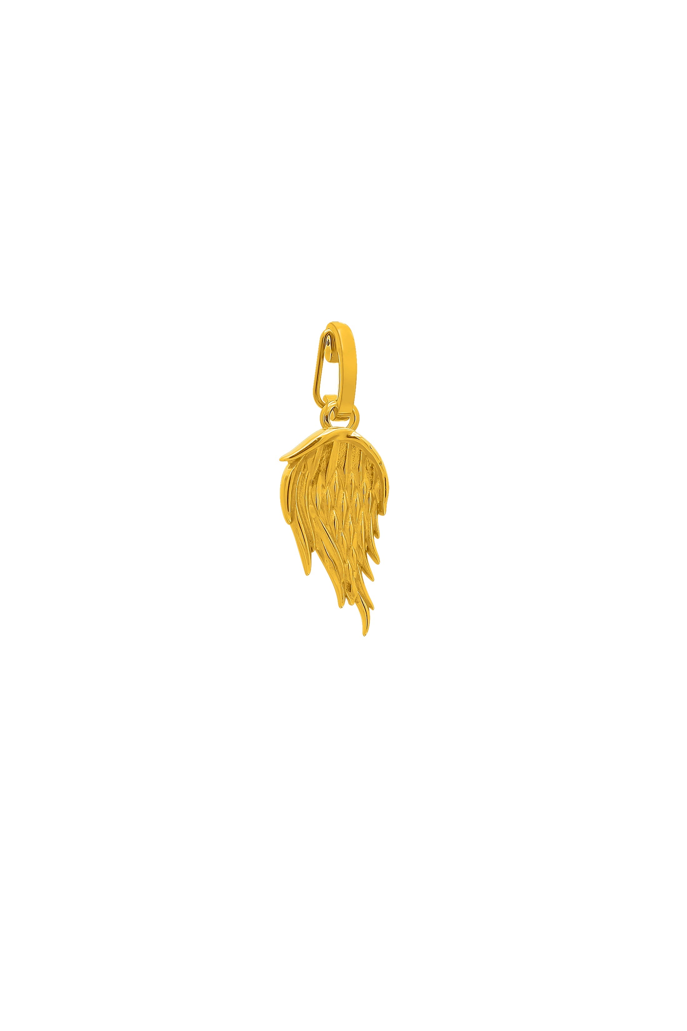 Angel Wings - Never Forgotten