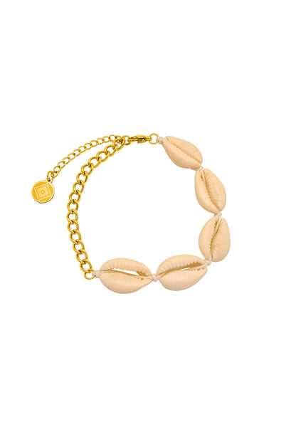 Shell Anklet