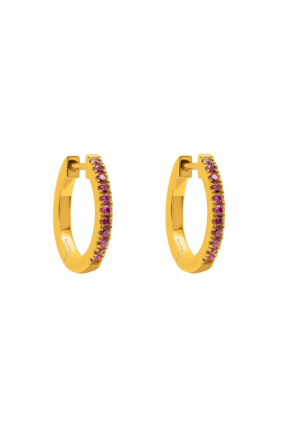 January Carisma Birthstone Hoop Earring Set